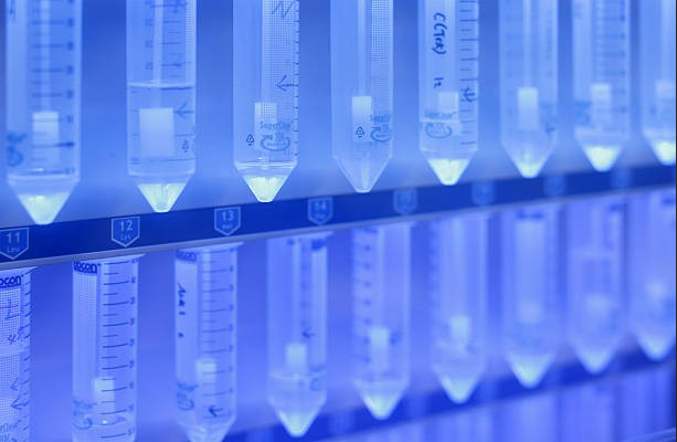 Custom Peptide Synthesis